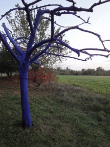  Cet arbre peint en bleu pour le conserver comme témoin  de la pollution humaine, est  désormais une oeuvre du musée de la Nature.