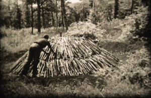 Le travail du bois-Coupes forestières (photogramme Fréderic olland)